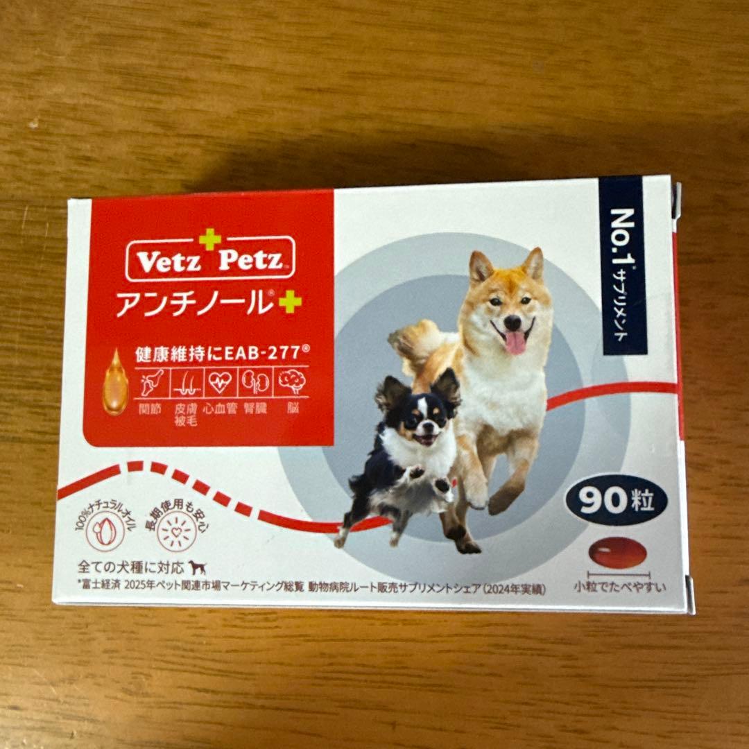 アンチノール➕　90粒