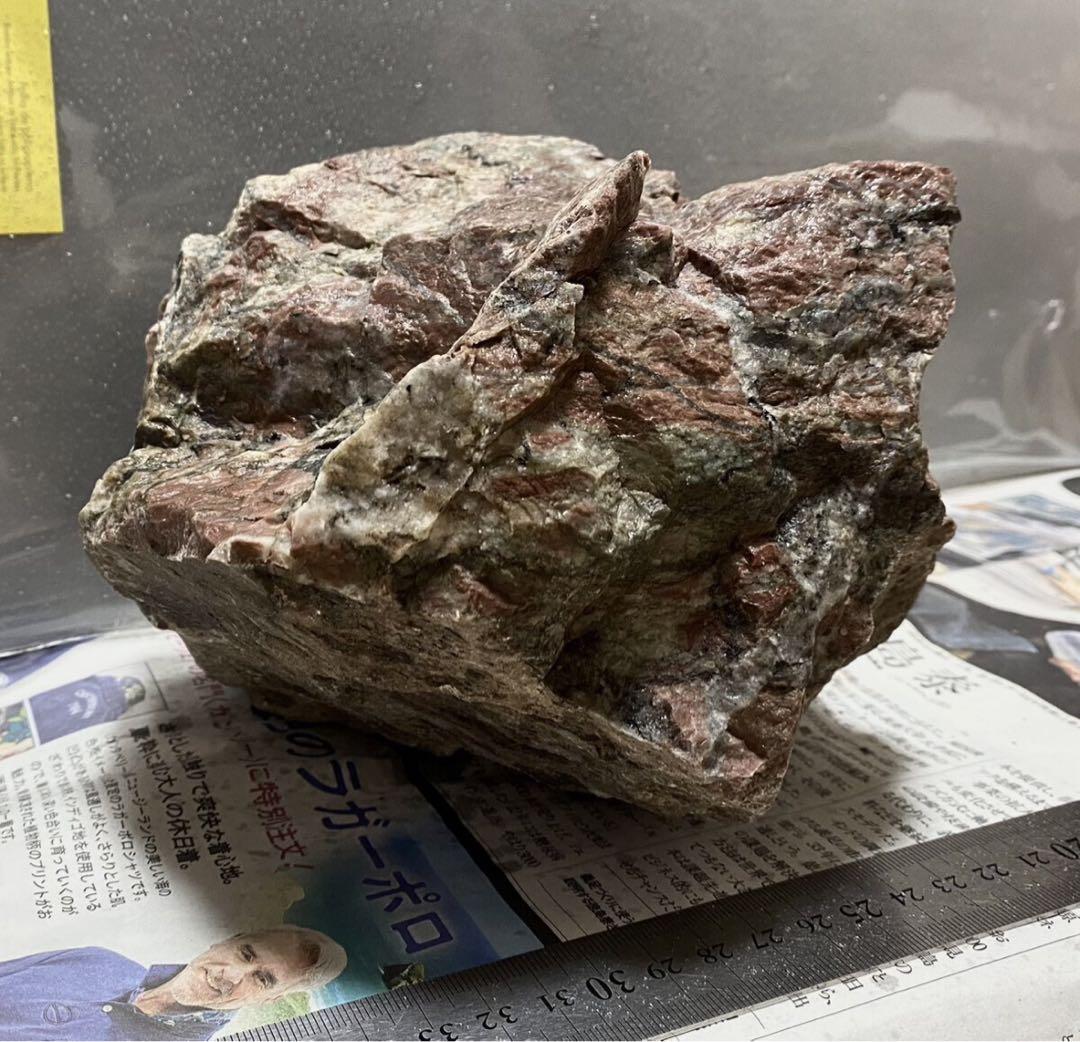 ADA 万天石 5.5キロ 天野尚 アクアデザインアマノ 親石 水槽用