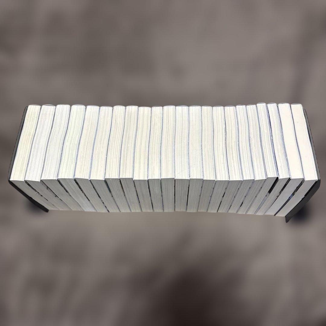 穏やか貴族の休暇のすすめ。 全巻 1-20巻 + 短編集 2冊 岬 小説 ラノベ