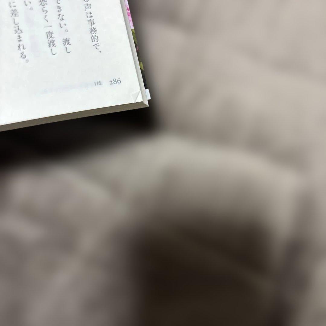 穏やか貴族の休暇のすすめ。 全巻 1-20巻 + 短編集 2冊 岬 小説 ラノベ