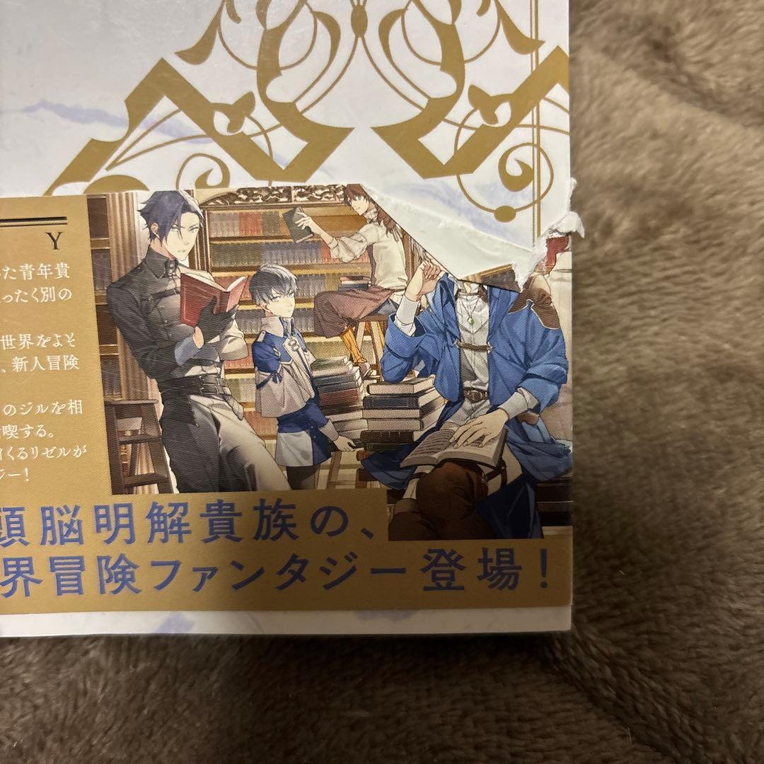 穏やか貴族の休暇のすすめ。 全巻 1-20巻 + 短編集 2冊 岬 小説 ラノベ