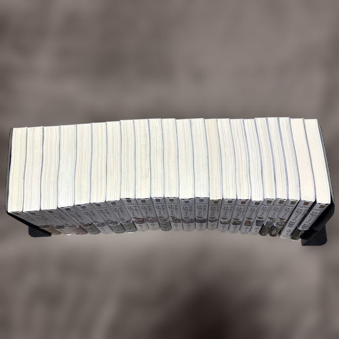 穏やか貴族の休暇のすすめ。 全巻 1-20巻 + 短編集 2冊 岬 小説 ラノベ