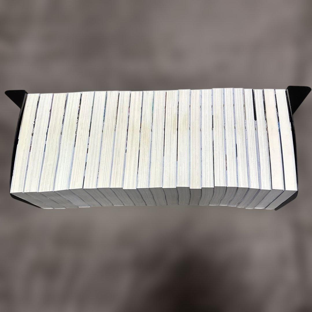 穏やか貴族の休暇のすすめ。 全巻 1-20巻 + 短編集 2冊 岬 小説 ラノベ