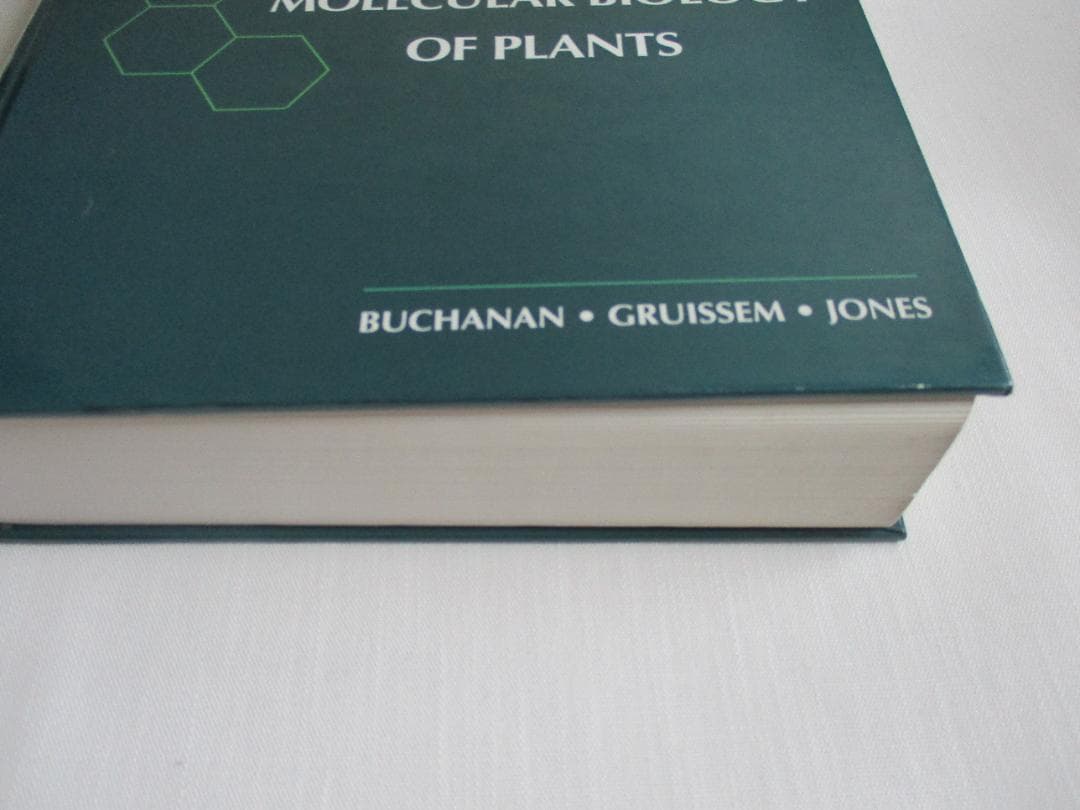 洋書 Biochemistry&Molecular Biology of Plants