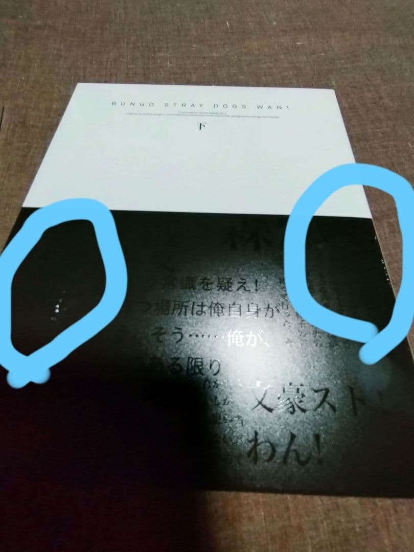 文豪ストレイドッグス　わん！ DVD 上下セット