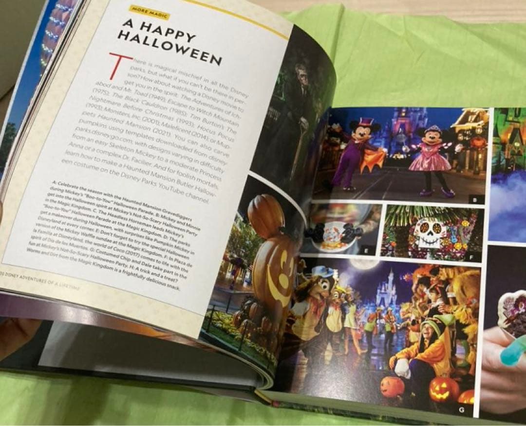 ディズニー 本 英語版　世界のディズニーパーク&リゾート ディズニークルーズ