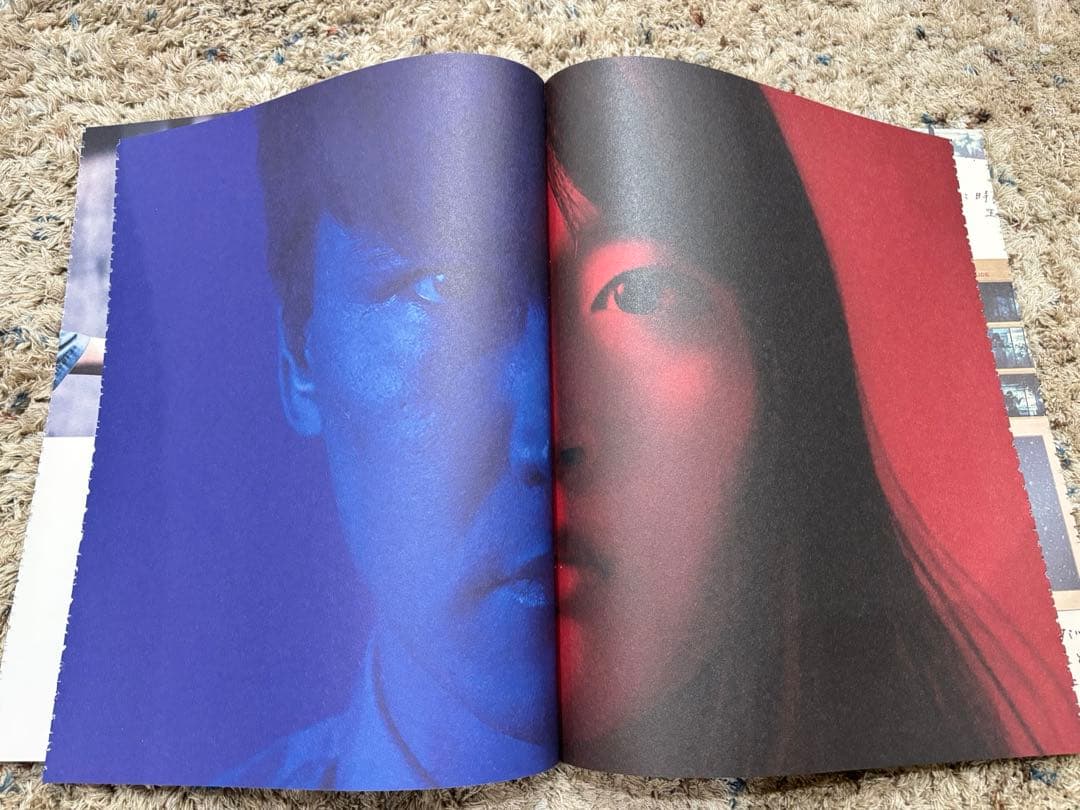 サカナクション アダプト NF限定版