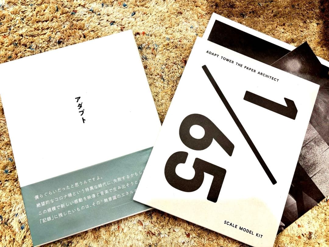 サカナクション アダプト NF限定版