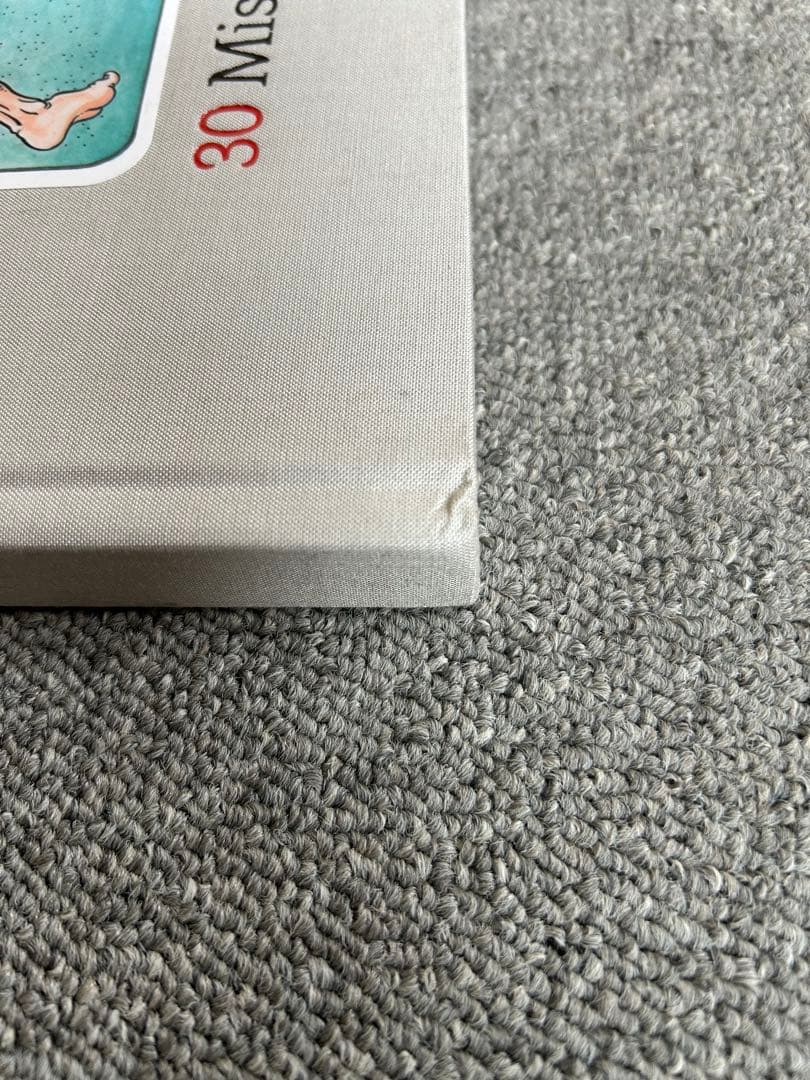 30 Missing Heroes タトゥーアーティスト　水滸伝　洋書