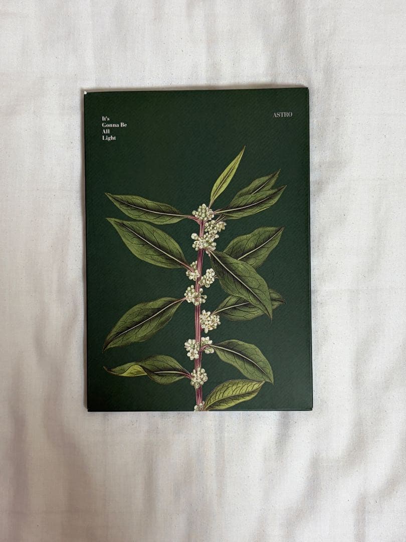 ASTRO All Light チャウヌ直筆サイン入り