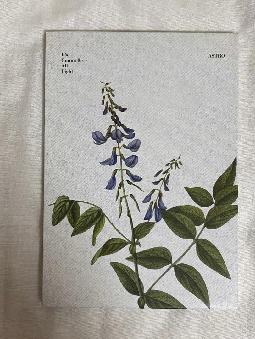 ASTRO All Light チャウヌ直筆サイン入り