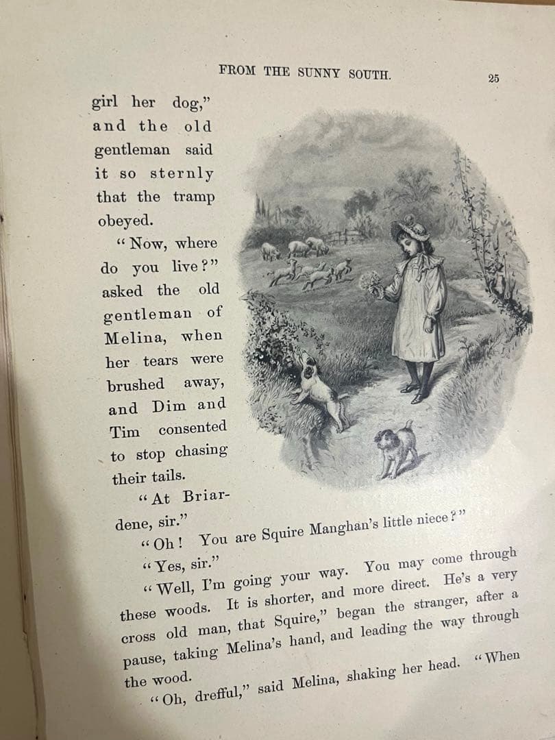 N o.356レア 超希少 アンティーク 洋書 絵本 ビクトリアン 児童書