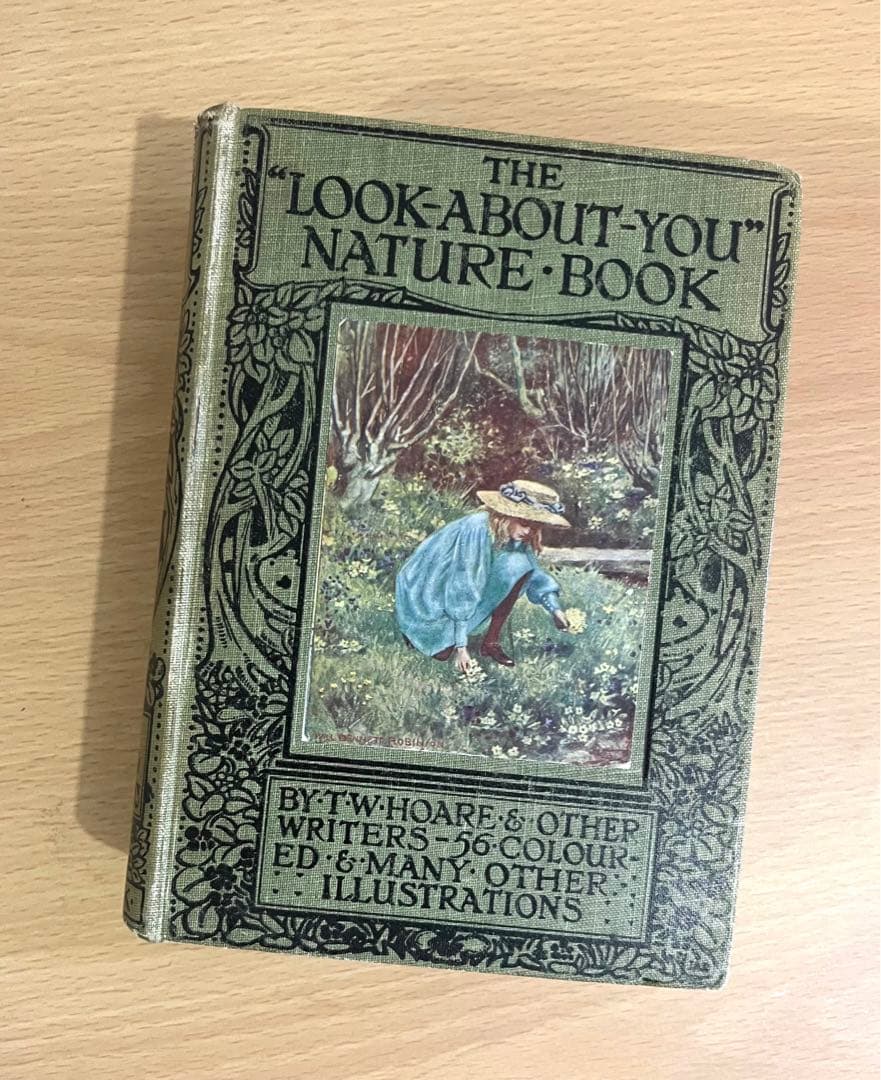 No.241 古書 洋書 児童書 植物·昆虫·動物·樹木·鳥·蝶·魚 図鑑 自然