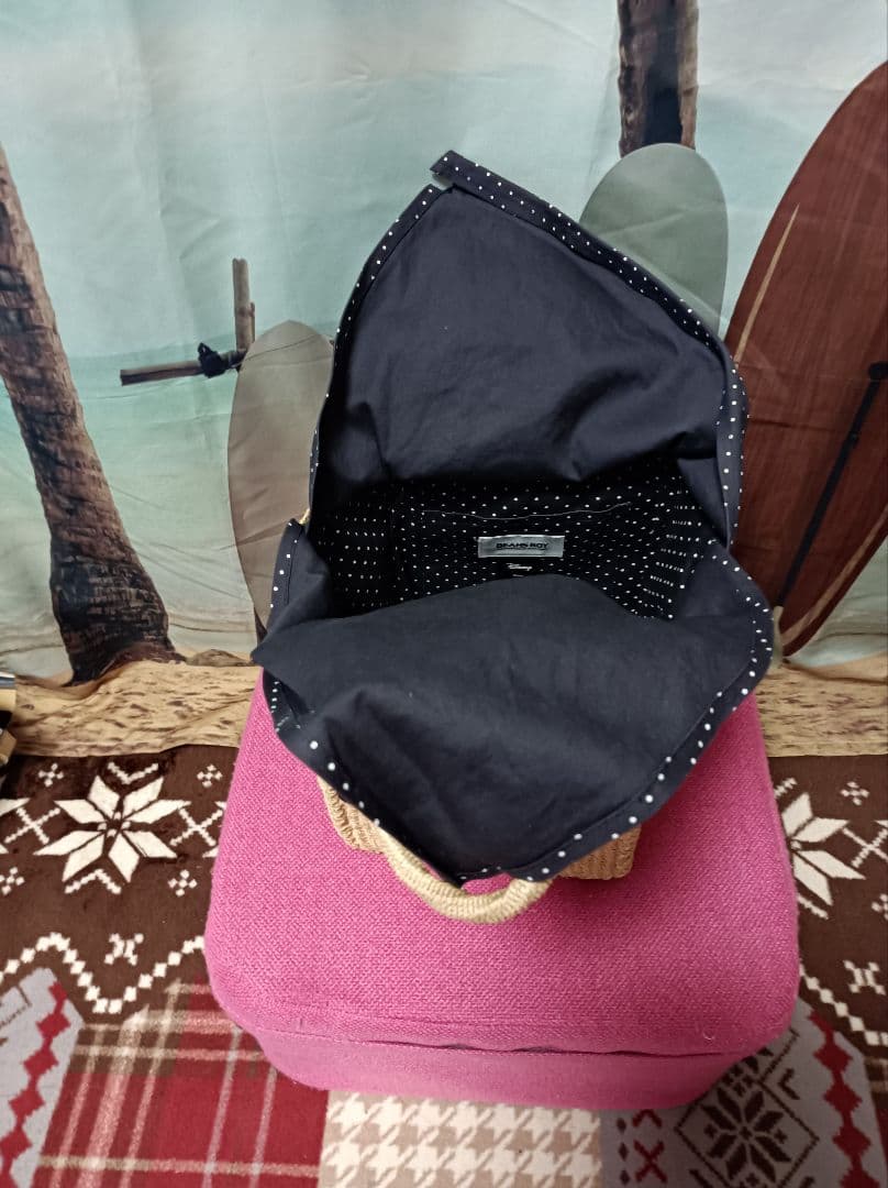 BEAMSBOY Disney ミッキーミニー ドナルドディジーかごバッグ