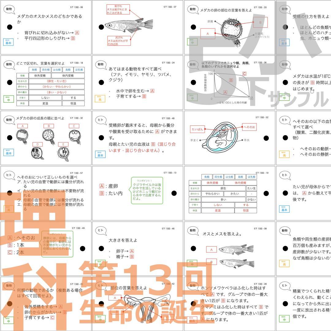 中学受験 暗記カード【5年下 社会・理科11-14回】 予習シリーズ 組テ対策