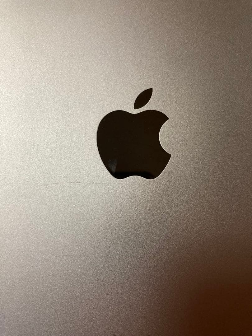 iPad本体 ipad mini4 Wi-Fi+Cellular 128GB