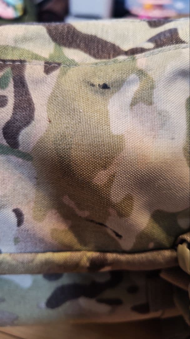 DIRECT ACTION マルチカム バックパック　DRAGON EGG