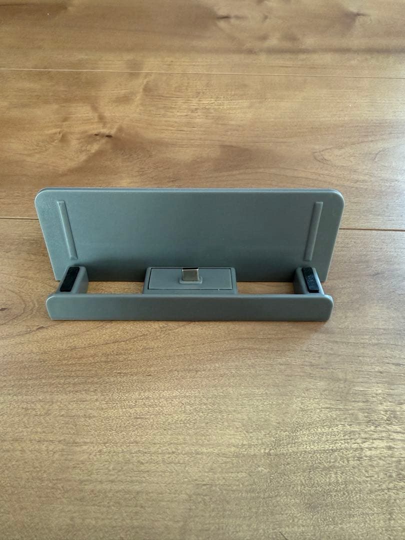 Nintendo Switch Lite グレー 充電器付属