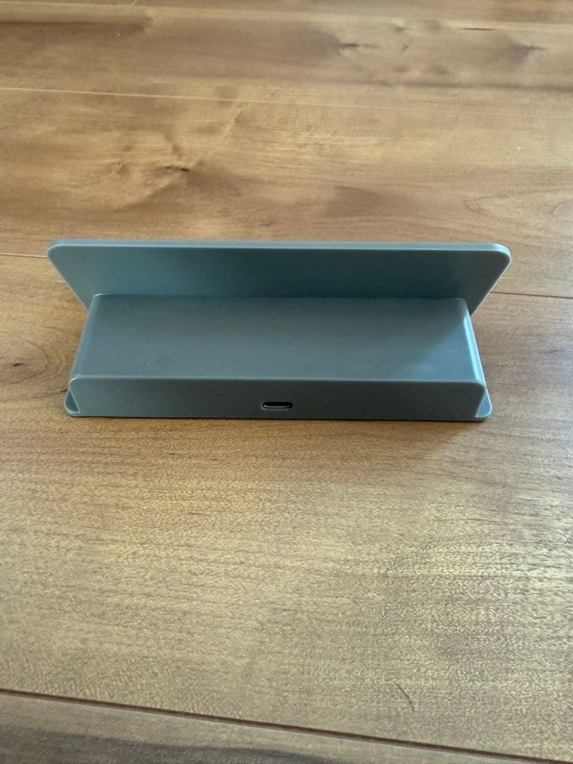 Nintendo Switch Lite グレー 充電器付属