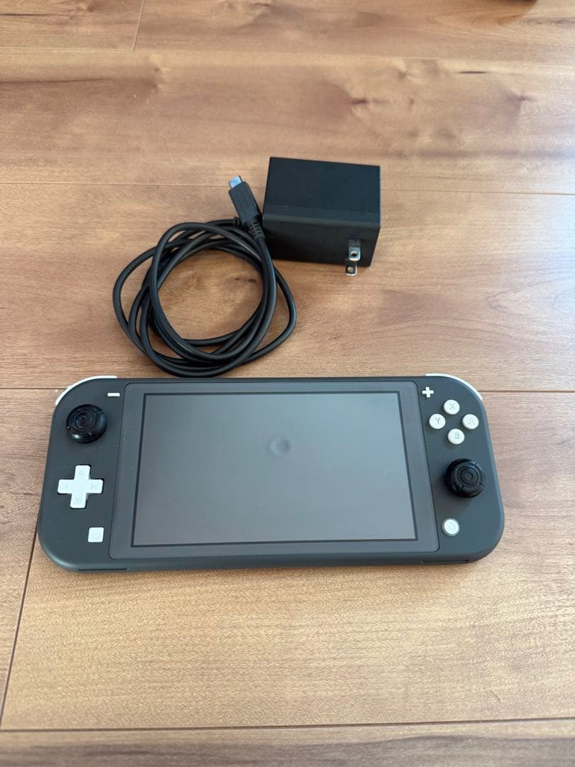 Nintendo Switch Lite グレー 充電器付属