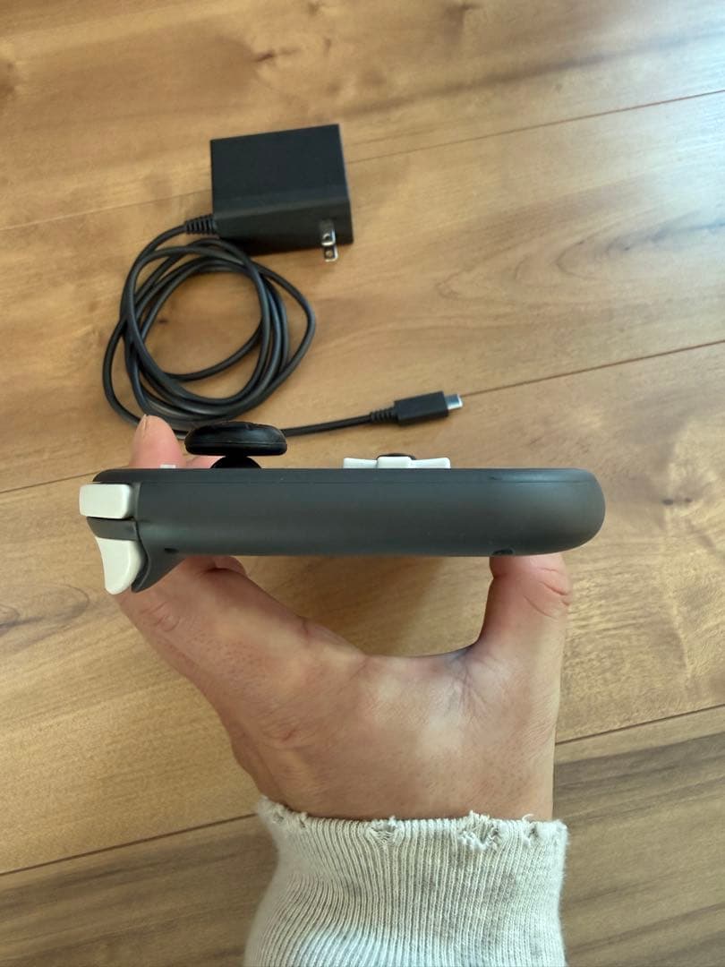 Nintendo Switch Lite グレー 充電器付属