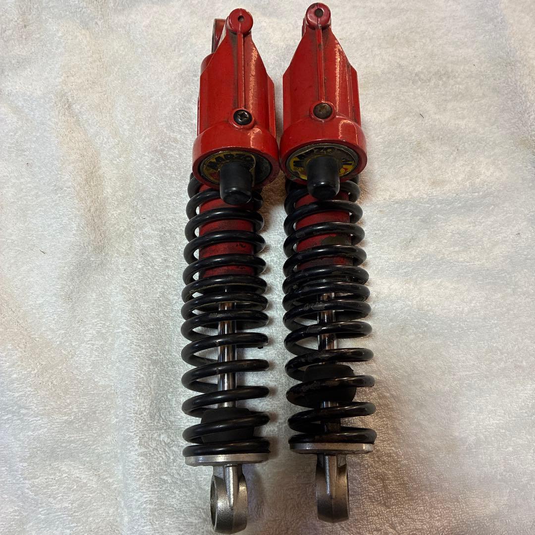 マルゾッキ　タイプ？