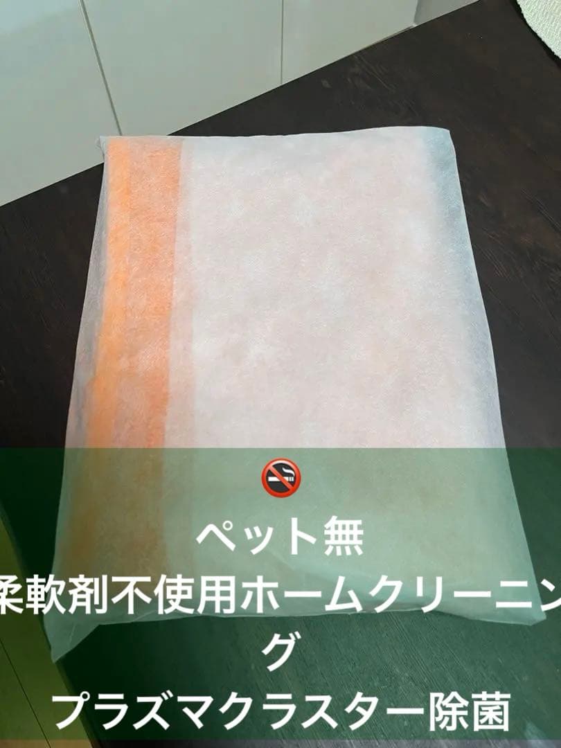プラスケア　ラドン　ホルミシスシーツ【正規品】
