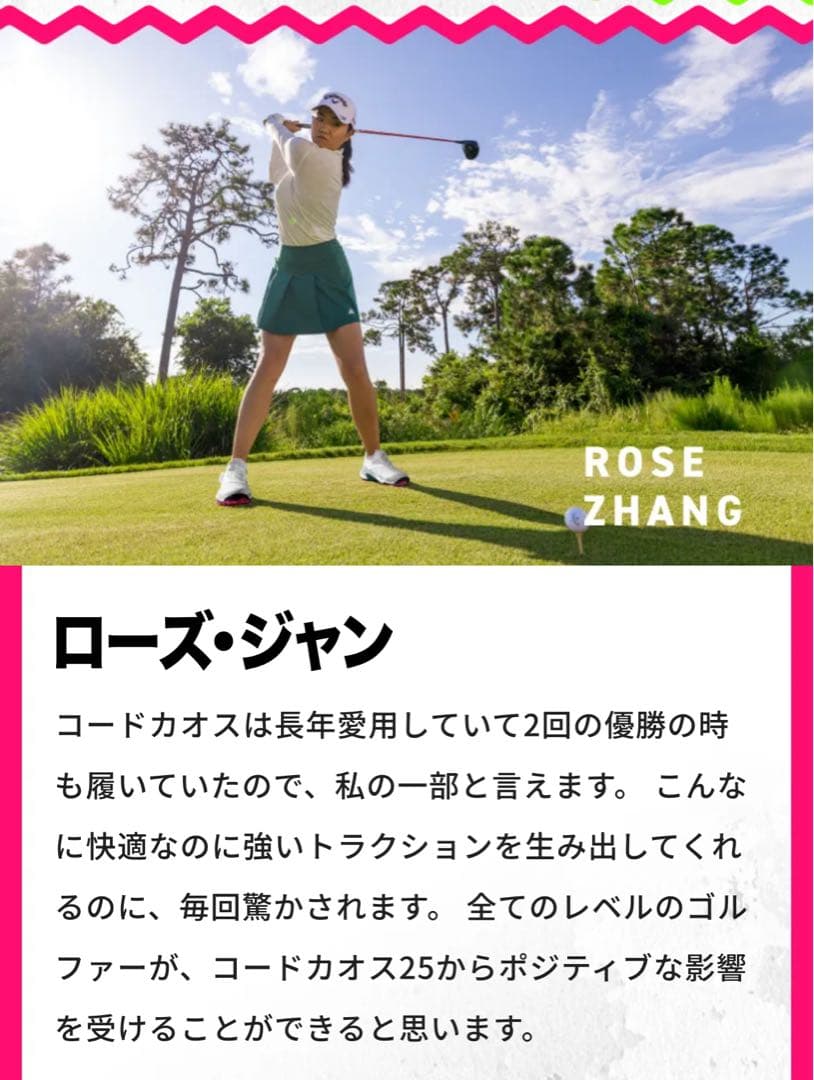 アディダス新品箱入り⭐️ゴルフシューズコードカオス25 ボア IG8705防水靴