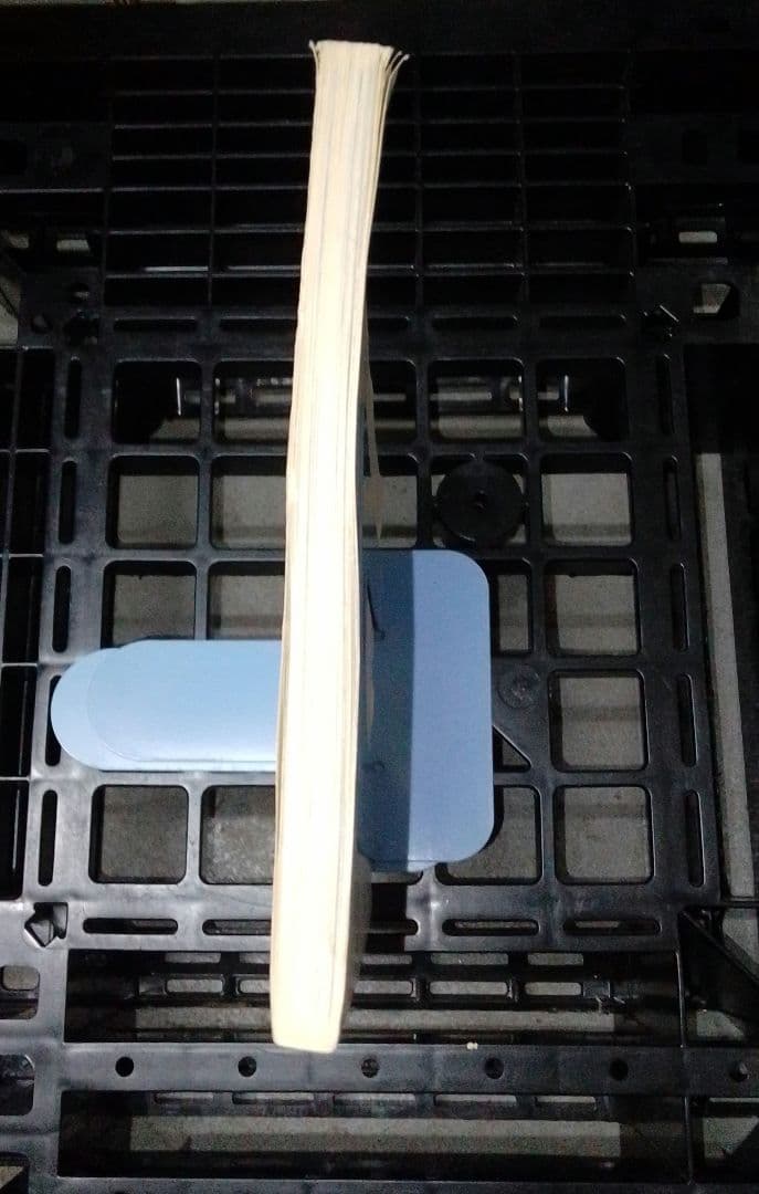 カヒミ・カリィ「プロモーション・ブック」「LE ROI SOLEIL」（太陽王）