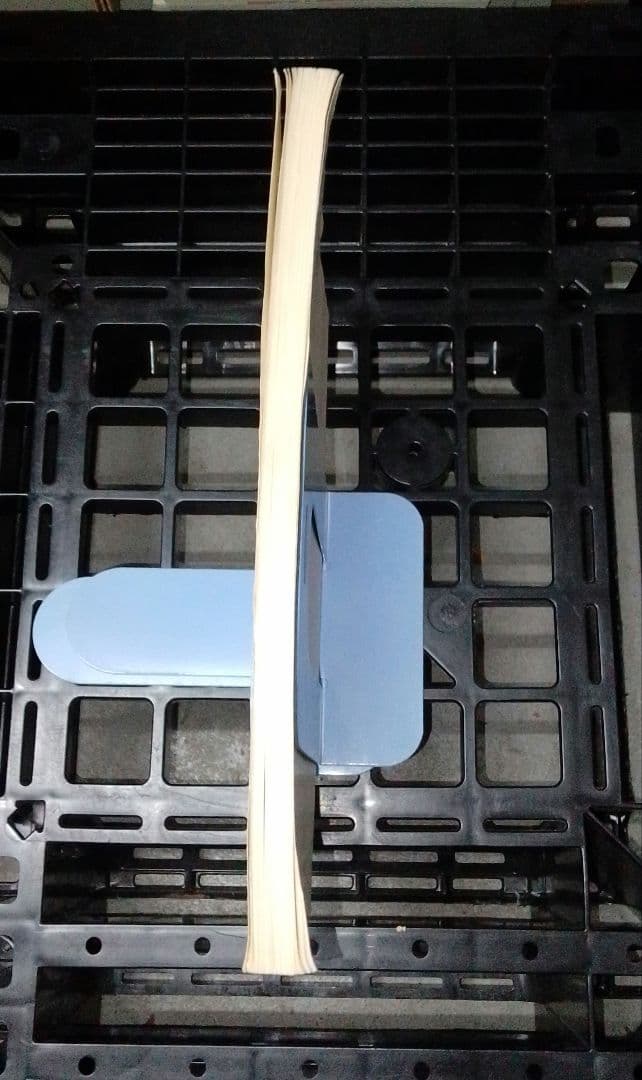 カヒミ・カリィ「プロモーション・ブック」「LE ROI SOLEIL」（太陽王）