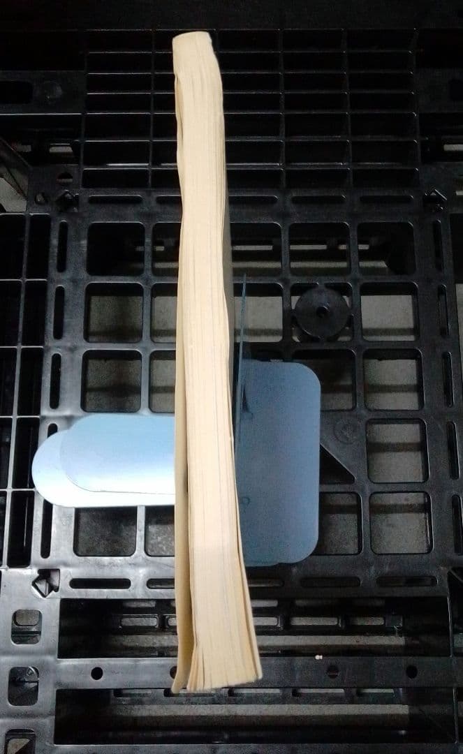 カヒミ・カリィ「プロモーション・ブック」「LE ROI SOLEIL」（太陽王）