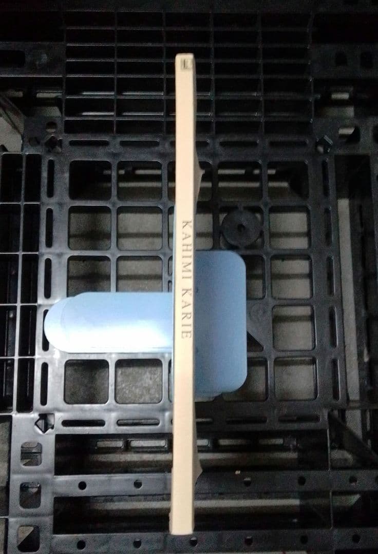 カヒミ・カリィ「プロモーション・ブック」「LE ROI SOLEIL」（太陽王）