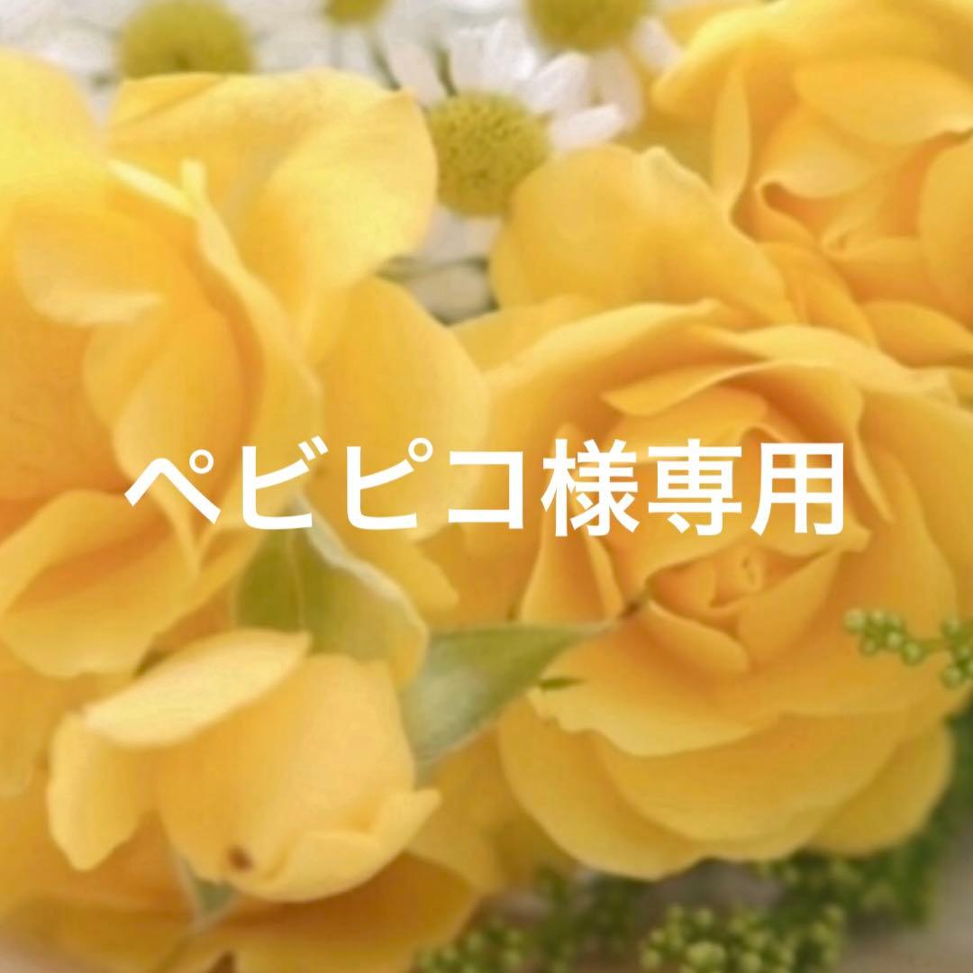 シェリーメイ 用コスチューム