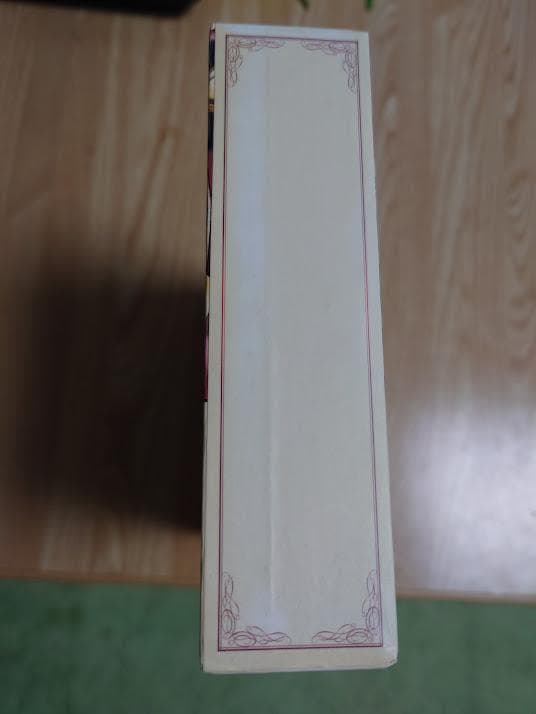 【稀少】グローランサーⅣ Return 専用ケース&メモリーカード