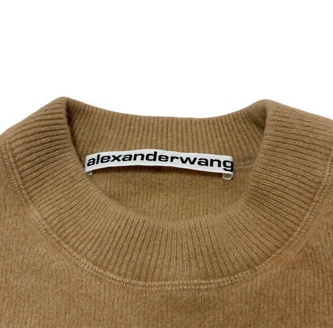 Alexander Wang ビジュー ニット スウェット キャメル