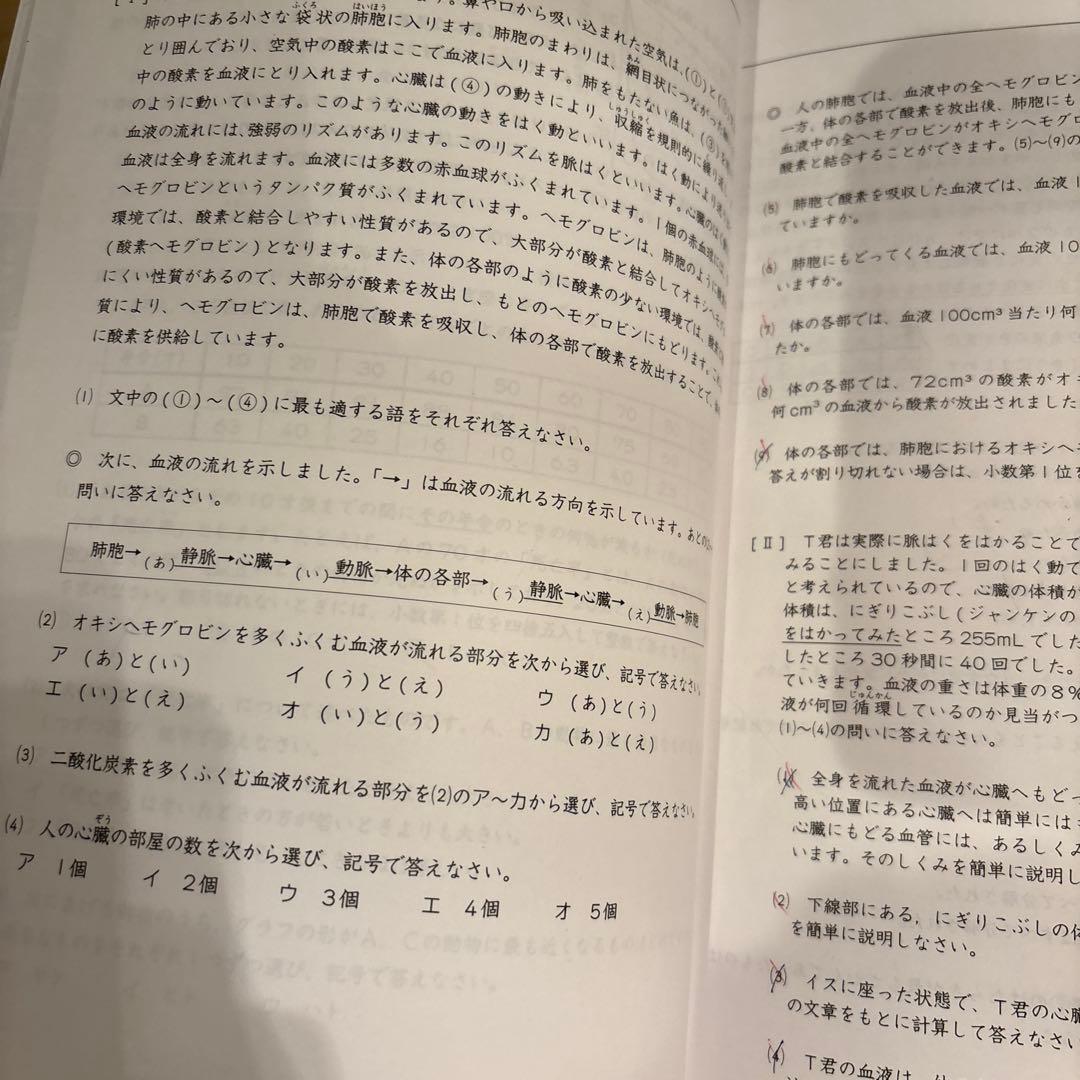 浜学園　小6 日曜志望校別　後期　男子最難関　灘コース　2024年　最新版