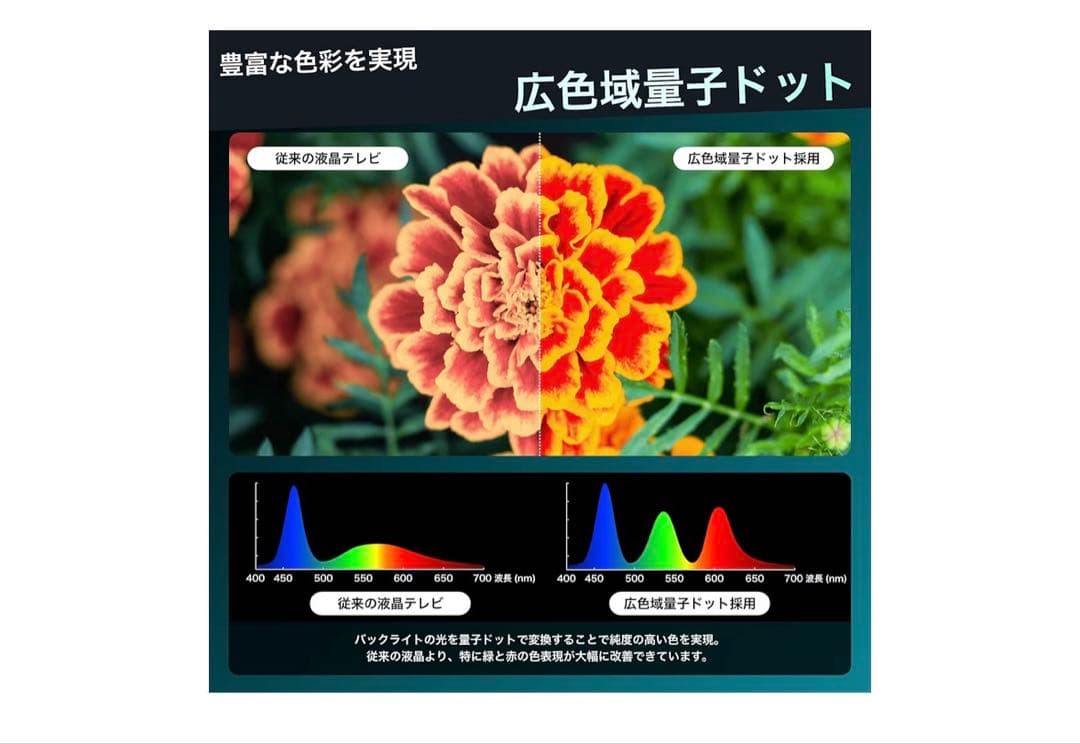 田中山中田　北海道向け Hisense 43インチ 4K液晶テレビ