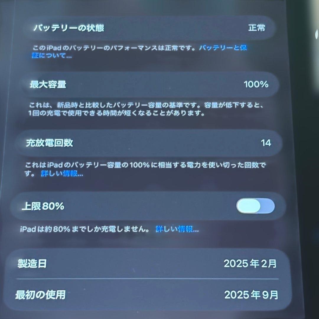 iPad Air (M3) Bule 本体