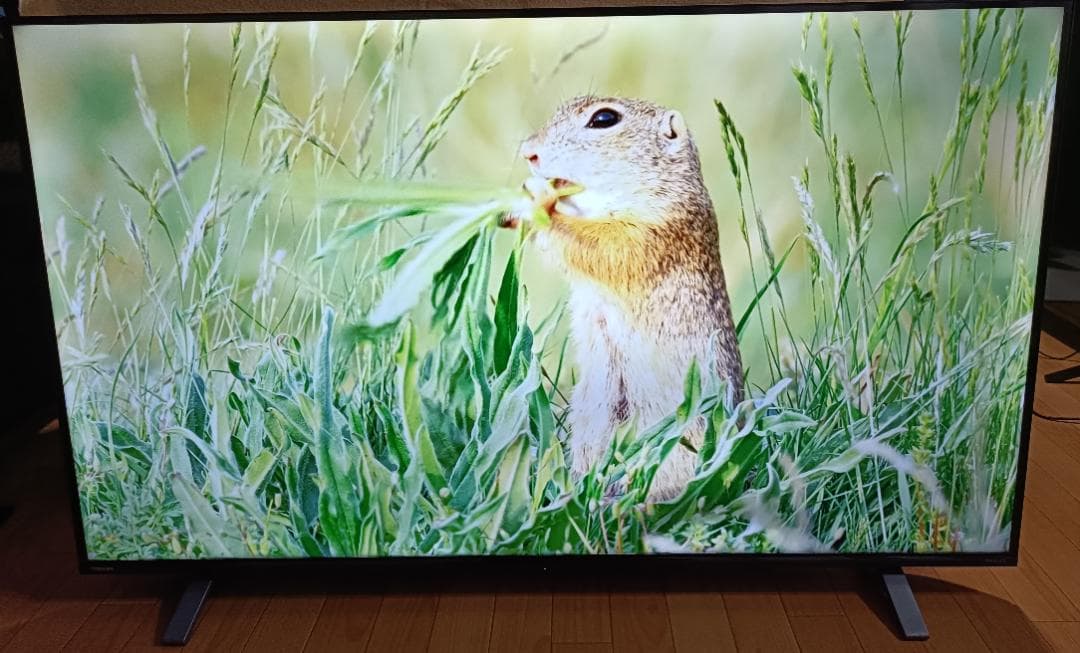 21年 東芝REGZA 55V型 55C350X 4Kテレビ 多機能リモコン