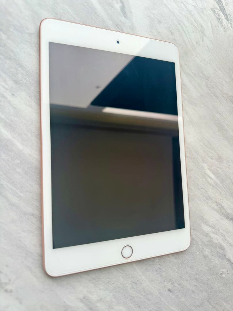 ［美品］iPad mini5 256GB Wi-Fiモデル