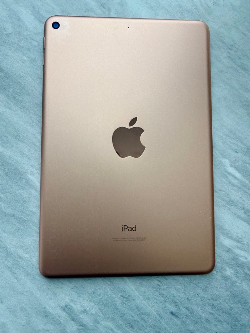 ［美品］iPad mini5 256GB Wi-Fiモデル