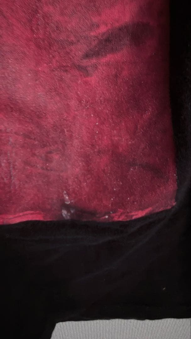 【USA】90s William Wegman vintage tee M