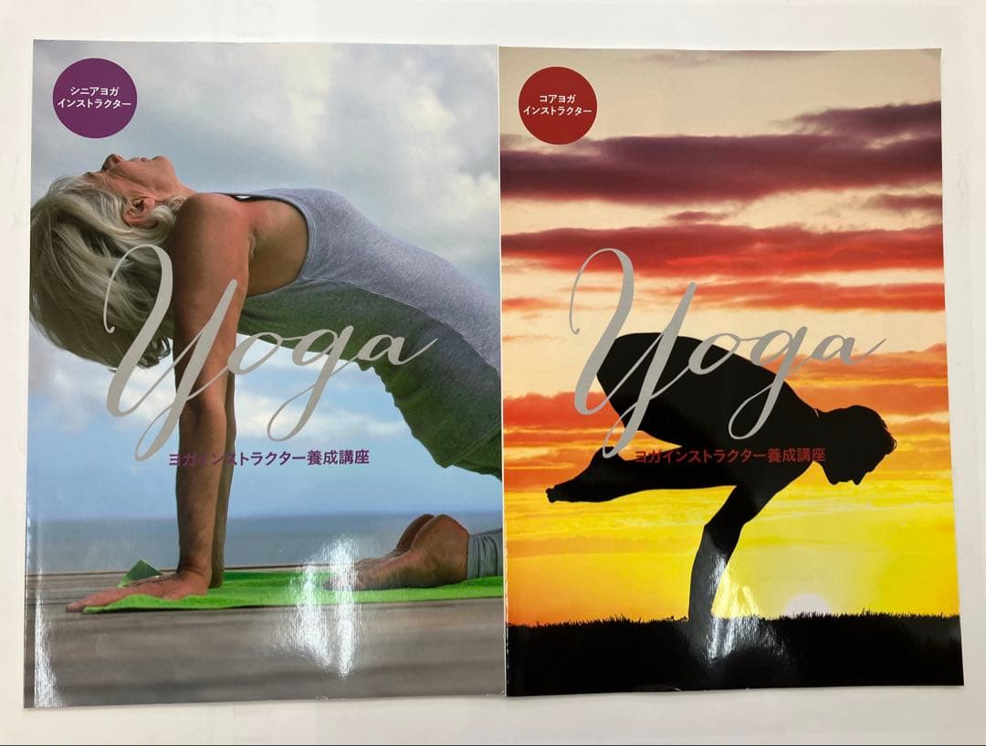 《期間限定SALE》キャリカレ　ヨガインストラクター養成講座 DVD