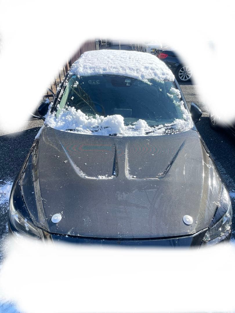 デミオ カーボンボンネット