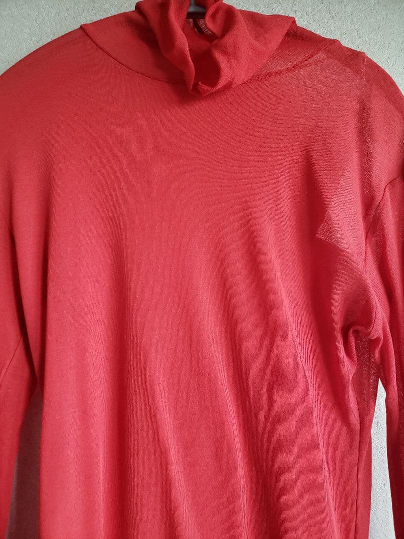 スタニングルアー インナーカラータートル