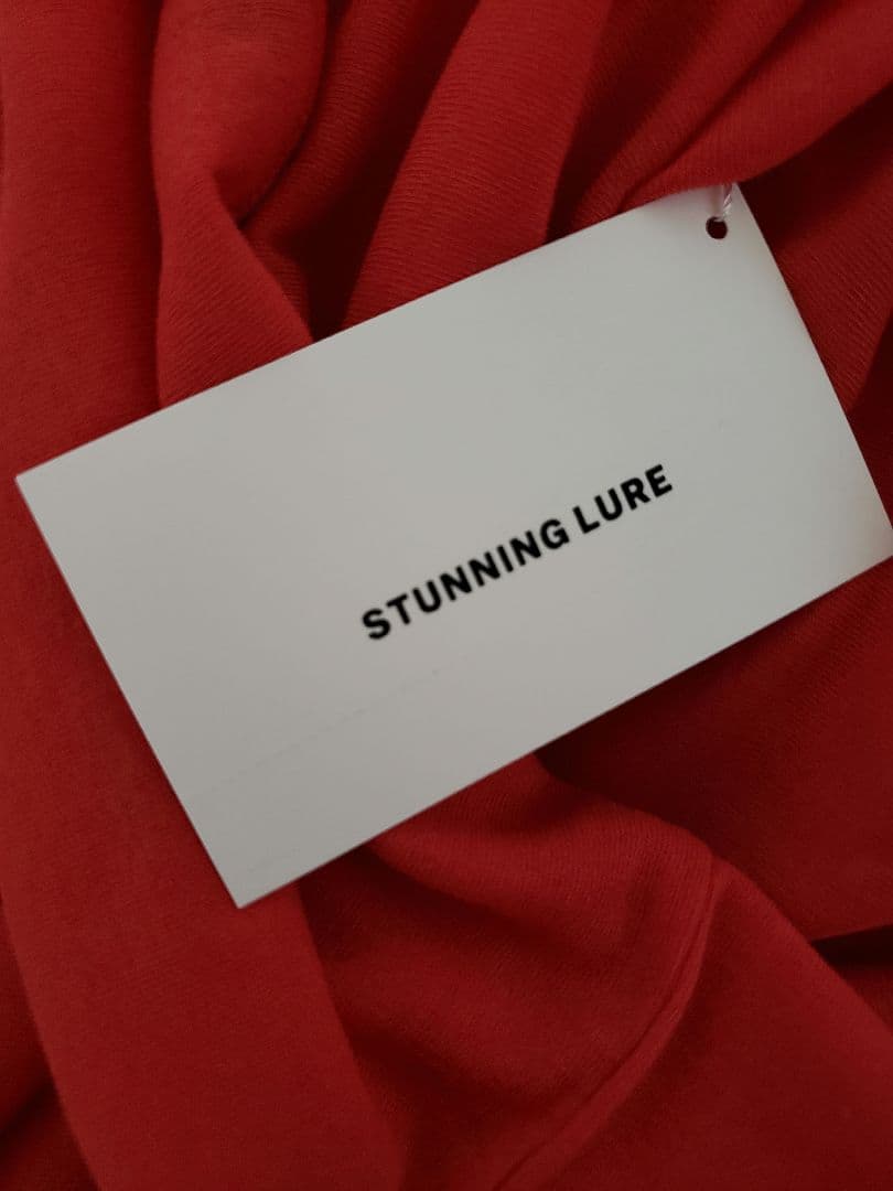 スタニングルアー インナーカラータートル