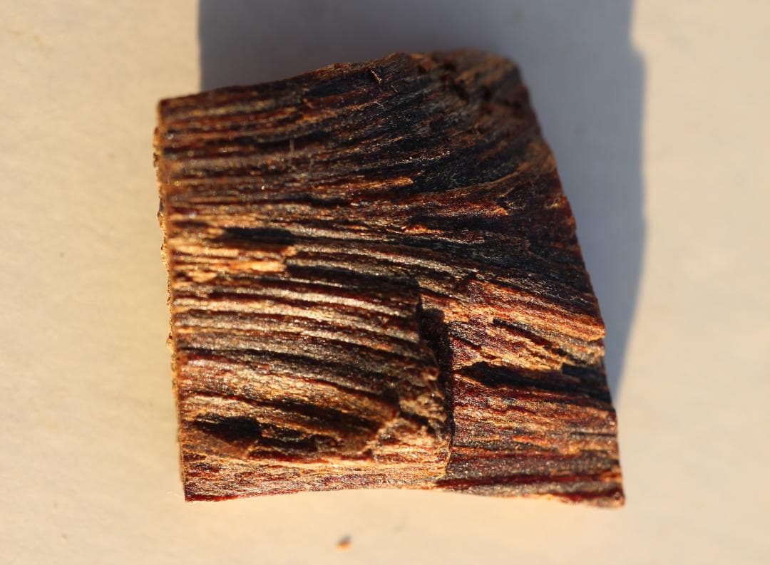 香木 古渡命銘木 「初音」小分け 約0.33g 沈香 奇南 伽羅