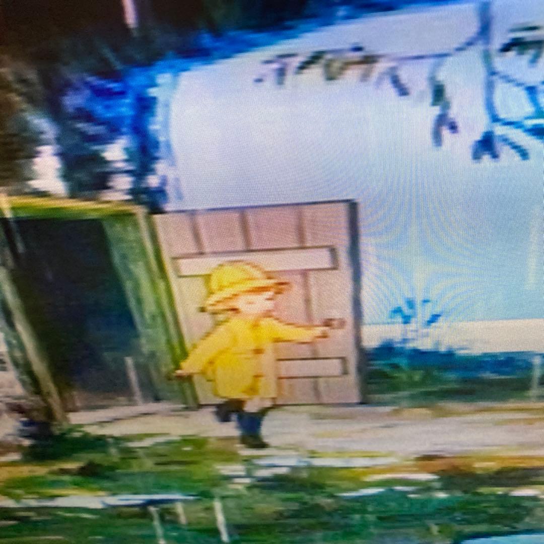 【稀有な逸品】HM-DR10000専用リモコン付き