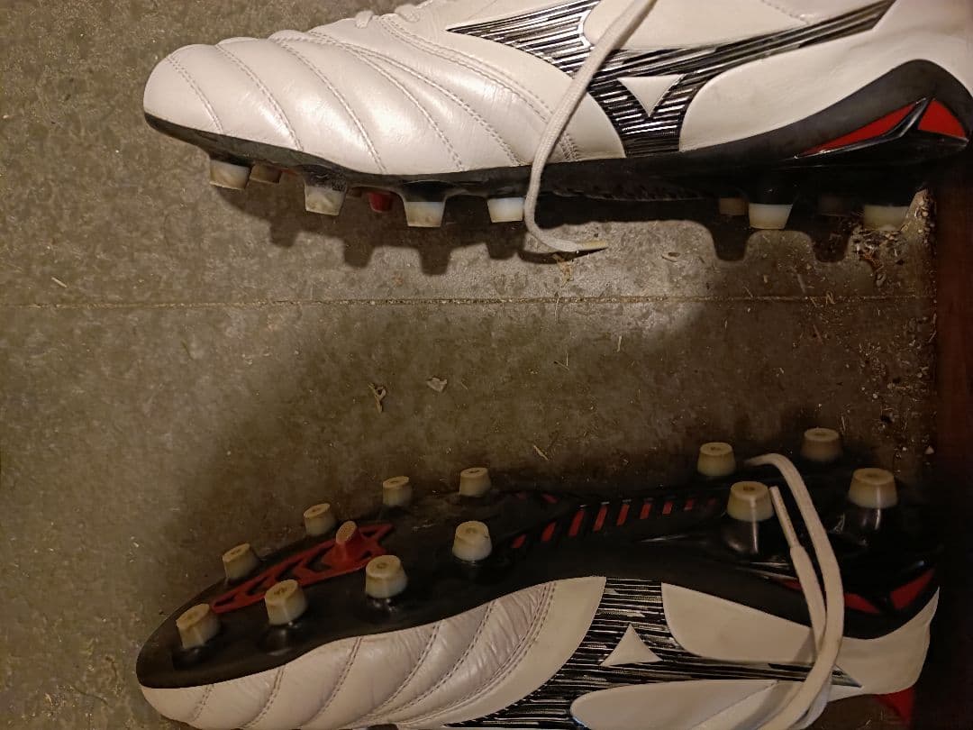 モレリアネオjapan