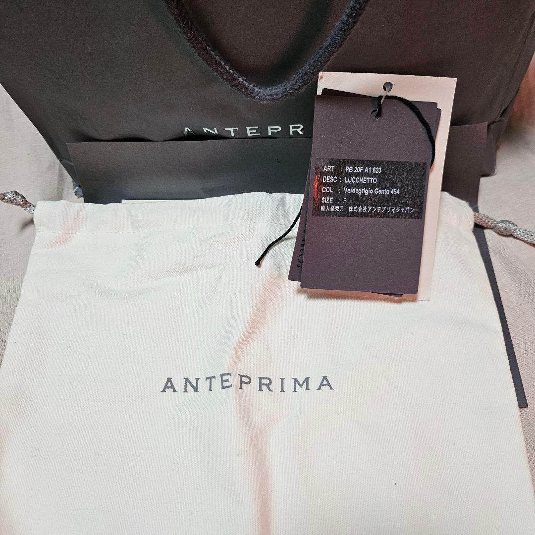 ANTEPRIMA アンテプリマ　ワイヤーバッグ ルッケット　最終値下げ